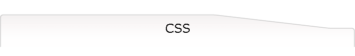 CSS