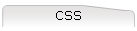 CSS